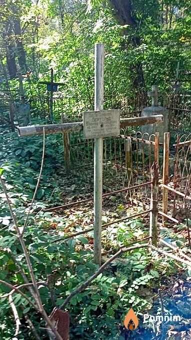 Бертольд Владимир Александрович