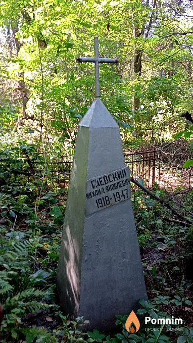 Гаевский Михаил Яковлевич