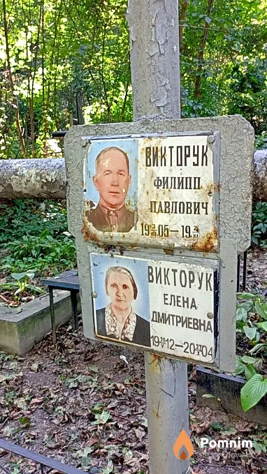 Викторук Елена Дмитриевна