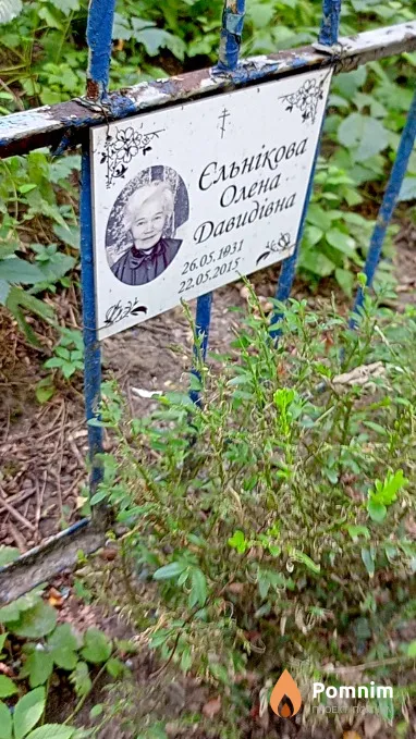 Ельникова Елена Давидовна