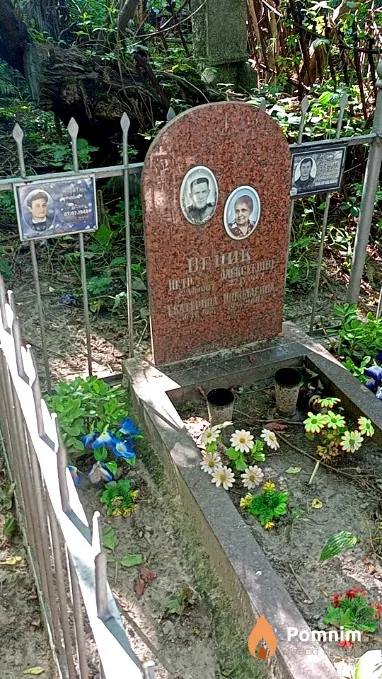 Веник Екатерина Николаевна
