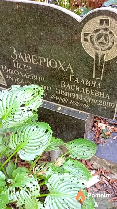 Заверюха Галина Васильевна