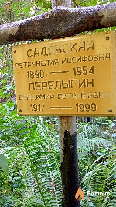 Перелыгин Владимир Евгеньевич