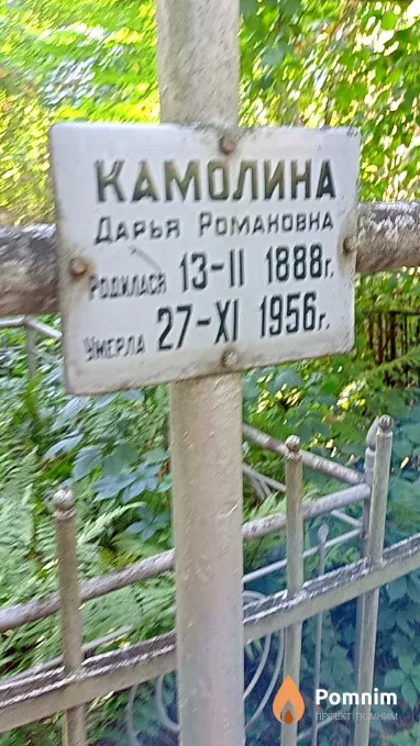 Камолина Дарья Романовна