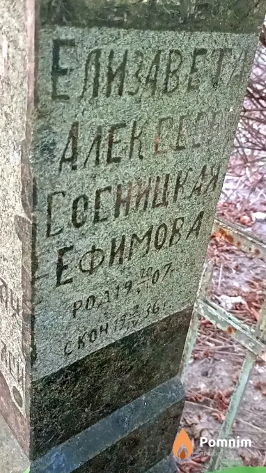 Сосницкая Елизавета Алексеевна