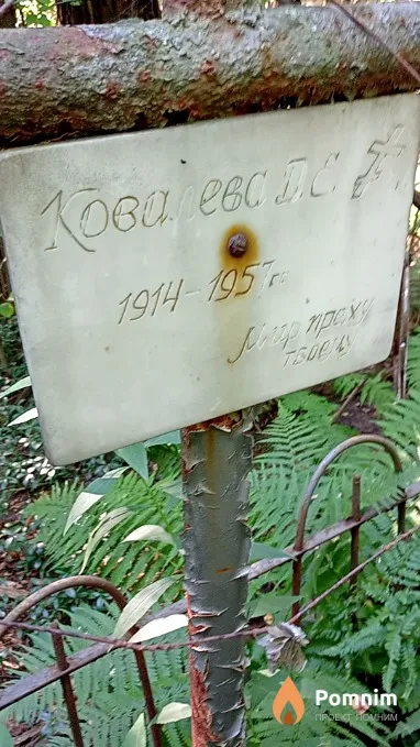 Ковалева Д Е