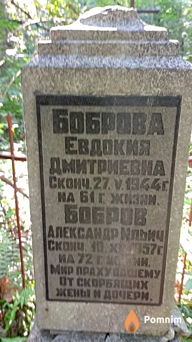 Бобров Александр Ильич