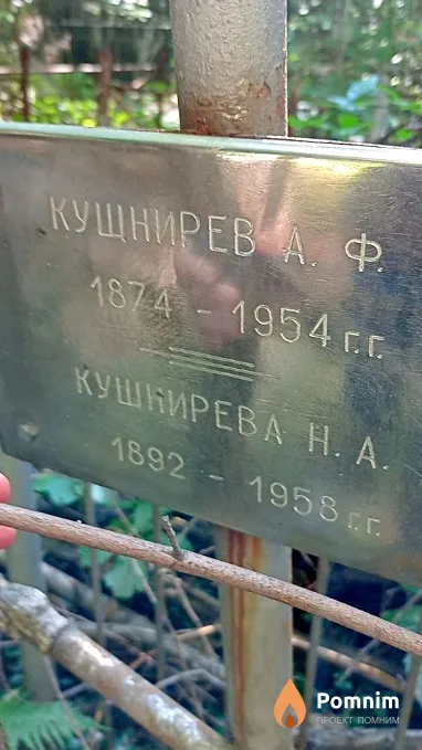 Кушнирева Н А