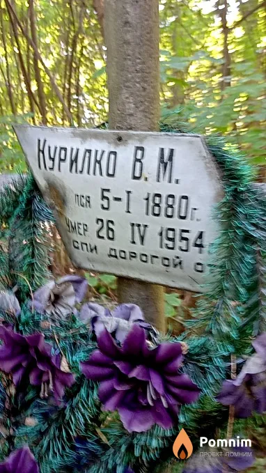 Курилко В М