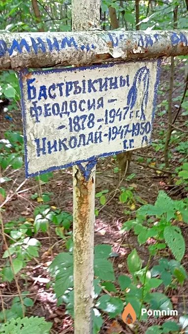 Бастрыкина Феодосия