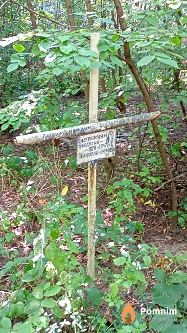 Бастрыкин Николай