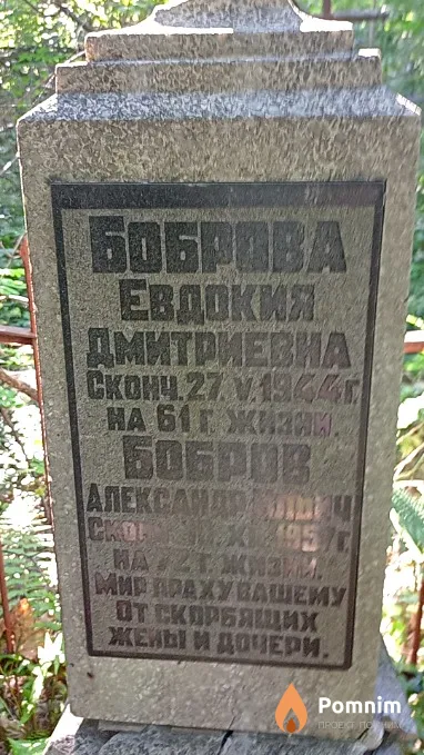 Бобров Александр Ильич
