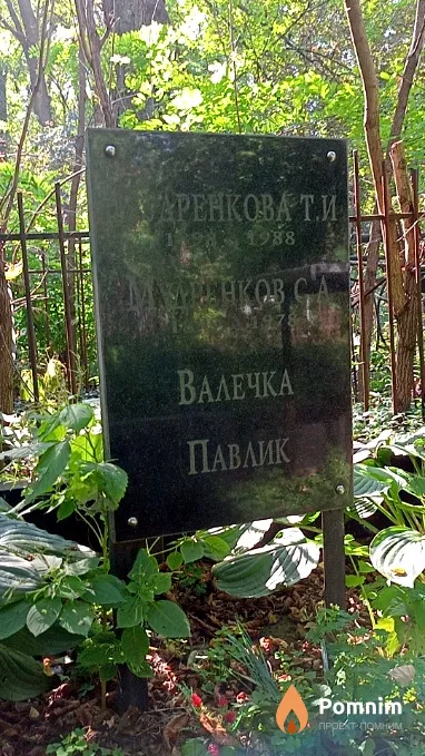 Мудренкова Т И
