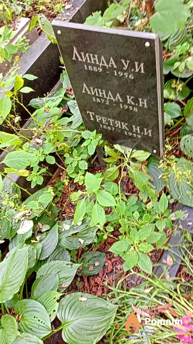 Третяк Н И