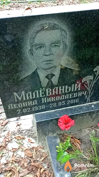Малёваный Леонид Николаевич