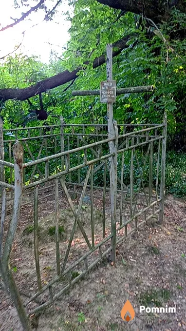 Таранец Елена
