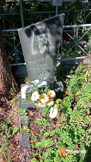 Высоцкая Елена Васильевна
