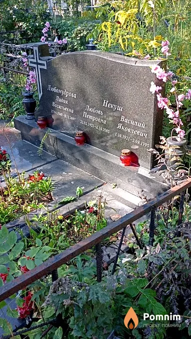 Некуш Любовь Петровна