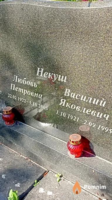 Некуш Василий Яковлевич