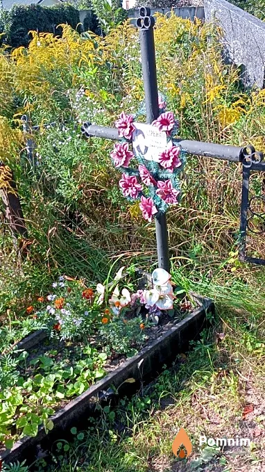 Сиренко Ольга Дмитриевна