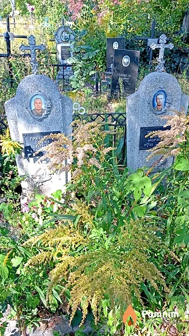 Приходько Евгения Дмитривна
