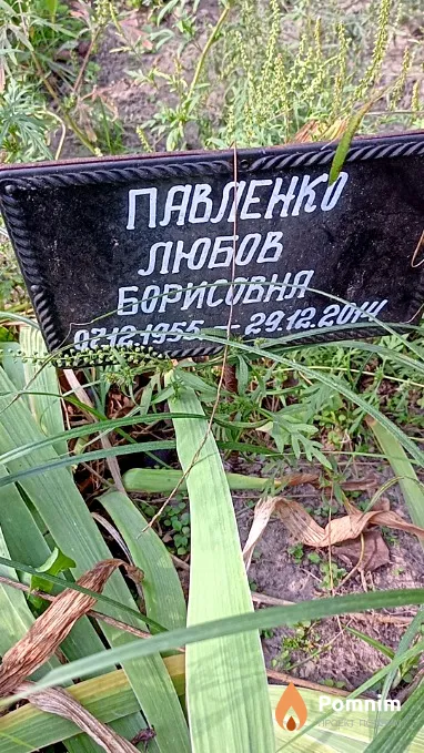 Павленко Любовь Борисовна