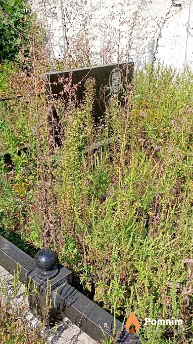 Плетенко Николай Андреевич