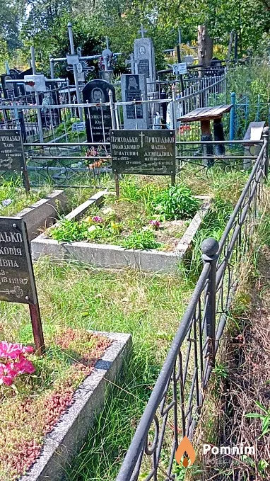 Приходько Елена Демидовна