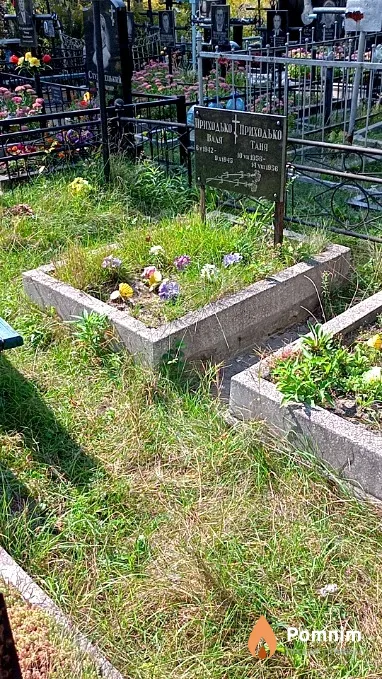 Приходько Татьяна