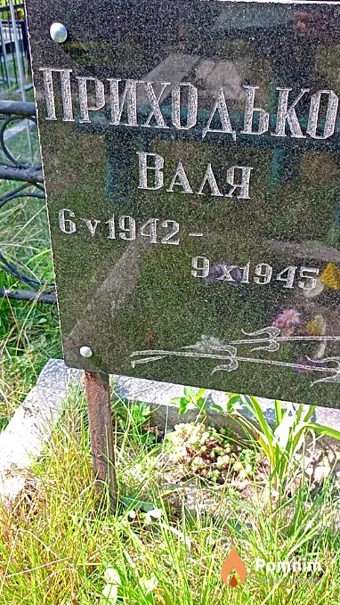 Приходько Валентина