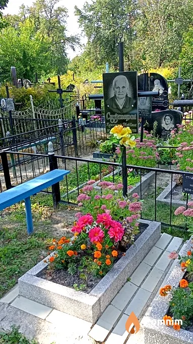 Студинецкая Екатерина Мусиевна