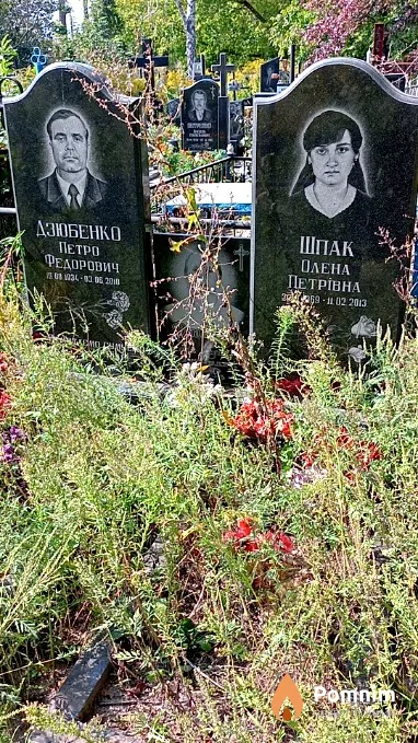 Шпак Елена Петровна