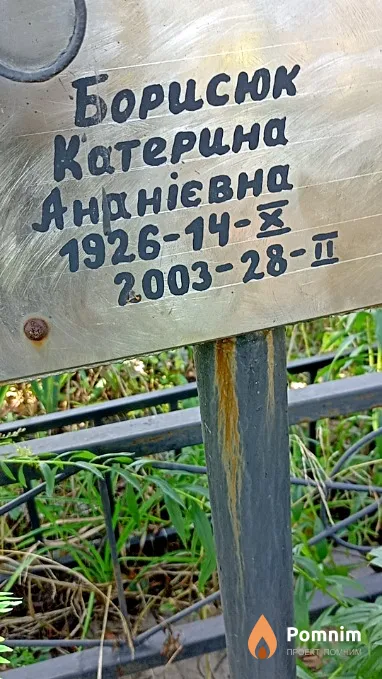 Борисюк Екатерина Андреевна