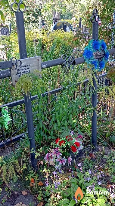 Борисюк Степан Алексеевич