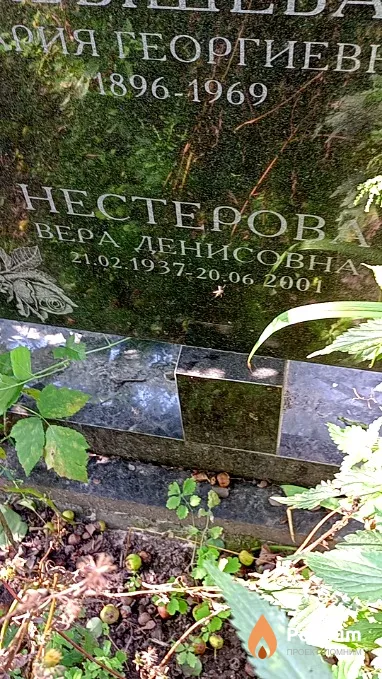 Нестерова Вера Денисовна