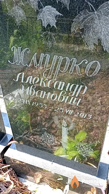 Жмурко Александр Иванович