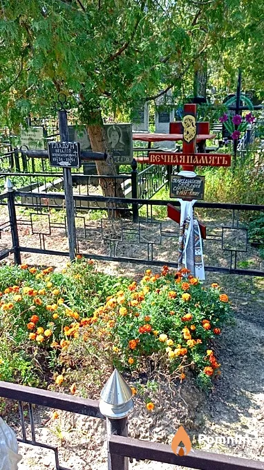 Красильникова Светлана Сергеевна
