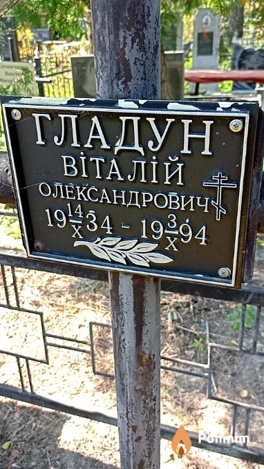 Гладун Виталий Александрович