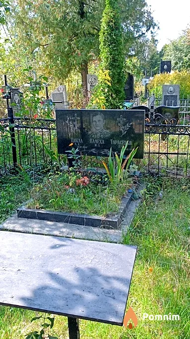 Тарасенко Д К