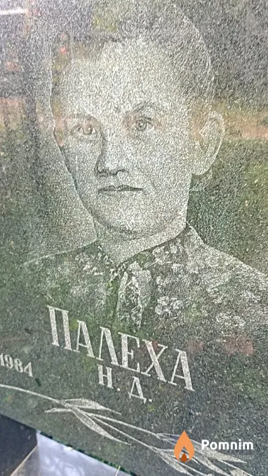 Палеха Н Д