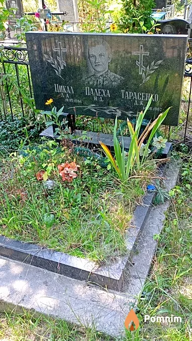 Цикал Л А
