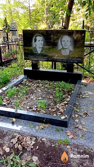 Григоренко Владимир Степанович