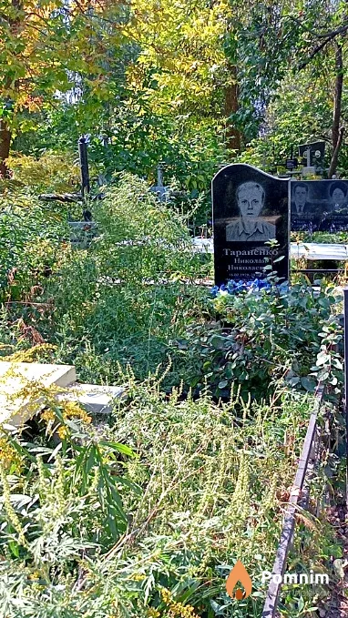 Тараненко Николай Николаевич