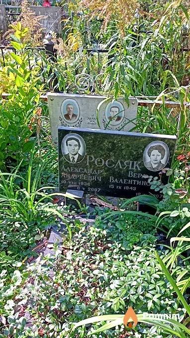 Динек Наталия Васильевна
