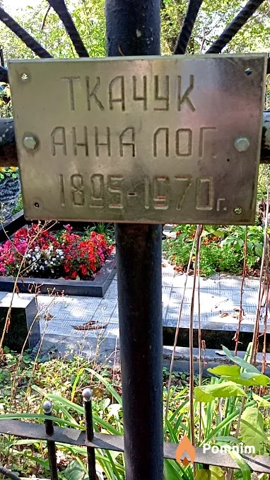 Ткачук Анна Лог