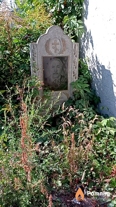 Голыш Василий Дмитриевич
