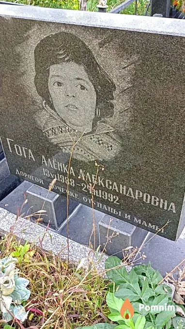 Гога Алёна Александровна