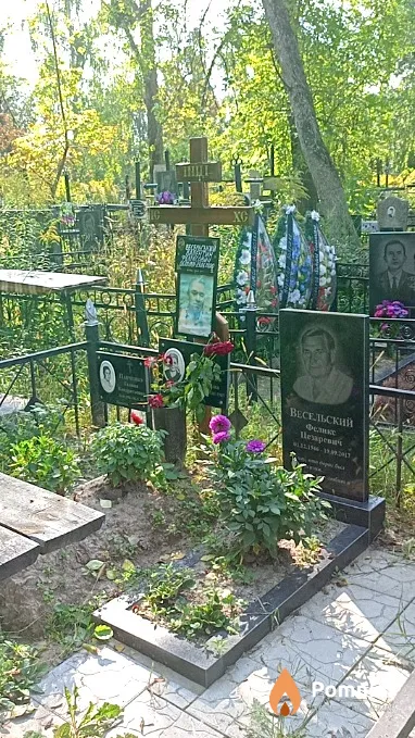 Весельский Феликс Цезаревич