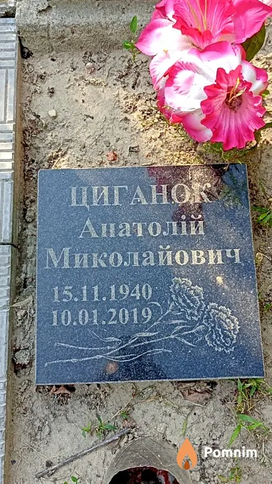 Циганок Анатолий Николаевич