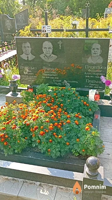 Приходько Феодосия Александровна